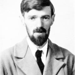 Portrait of D H Lawrence
