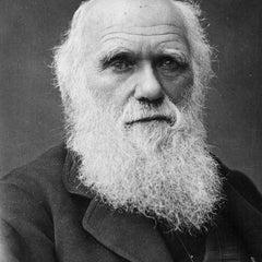 Portrait of Charles Darwin