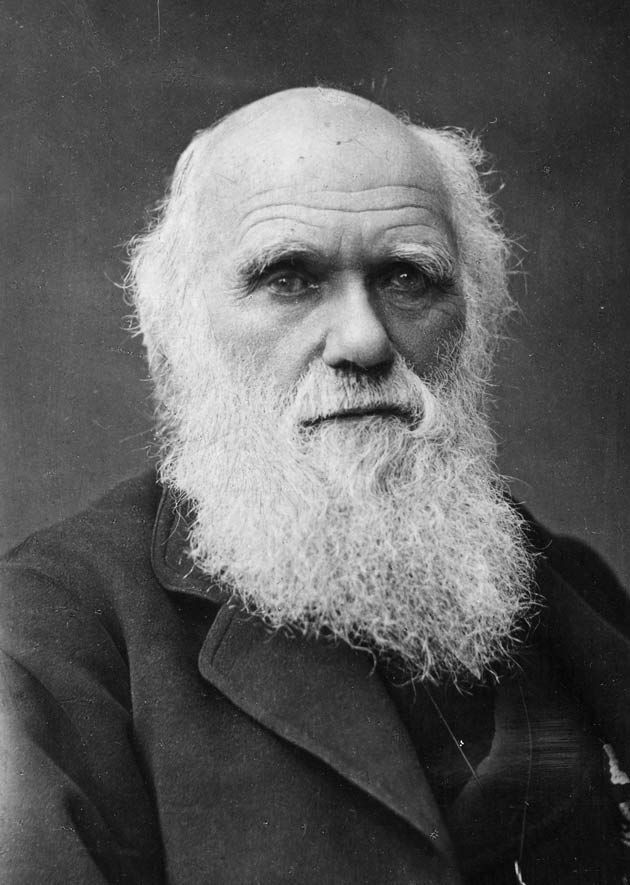 Portrait of Charles Darwin