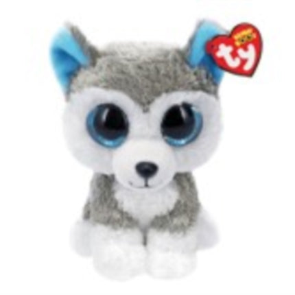 Asher Cat  Boo  Reg
