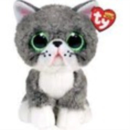 Fergus Cat  Gray  Boo  Reg