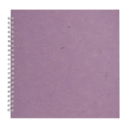 11x11 Posh Black Display 25lvs Amethyst Banana