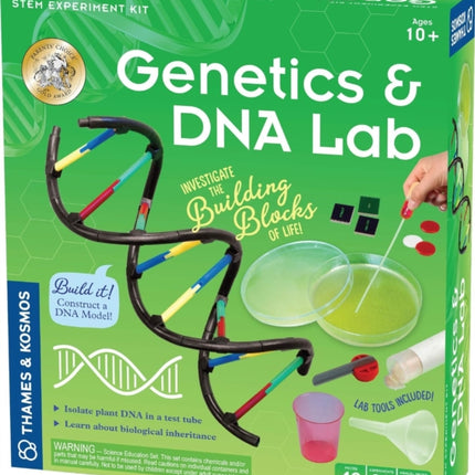 Genetics  DNA