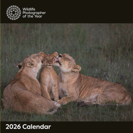 Wildlife Photographer Of The Year Square