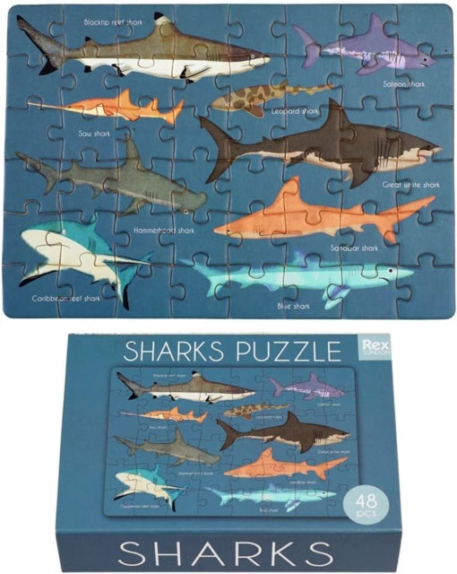 Matchbox jigsaw puzzle  Sharks