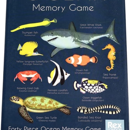 Ocean memory game 40 pieces