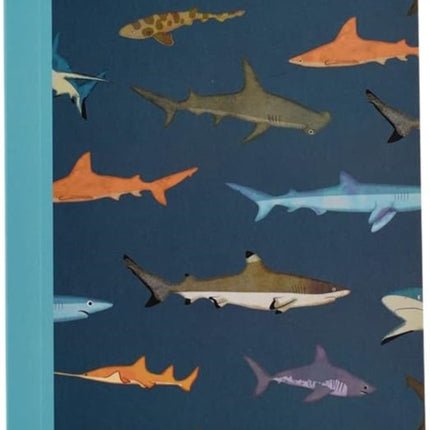 A6 notebook  Sharks