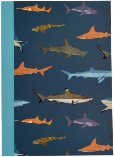 A6 notebook  Sharks