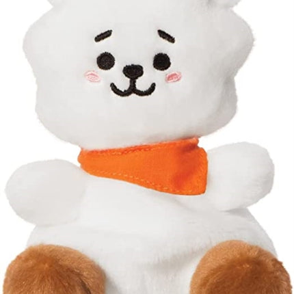 BT21 RJ Palm Pal 5In