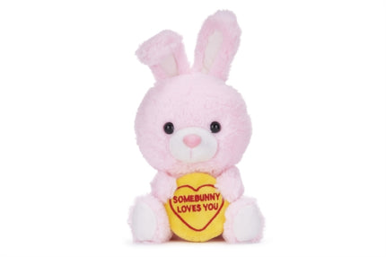 Love Hearts 7 Somebunny Loves You Plush Gift