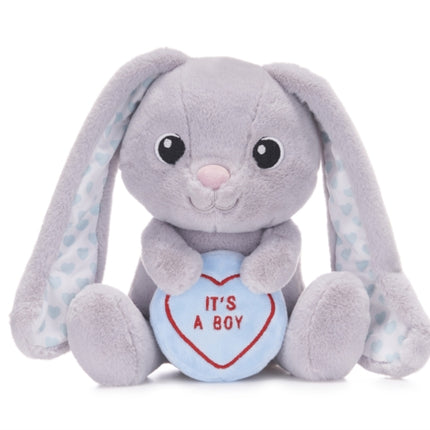 Love Hearts 7 Baby Boy Bunny Plush Gift