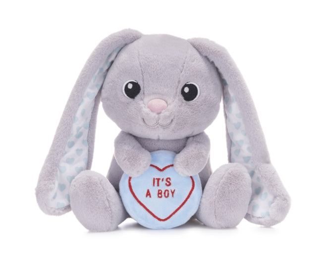 Love Hearts 7 Baby Boy Bunny Plush Gift