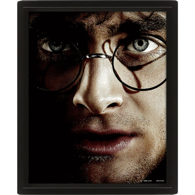 Harry Potter Harry Vs Voldemort  Framed