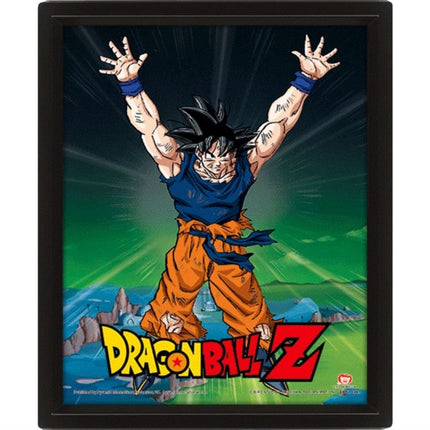 Dragon Ball Z Power Levels Increased  Framed