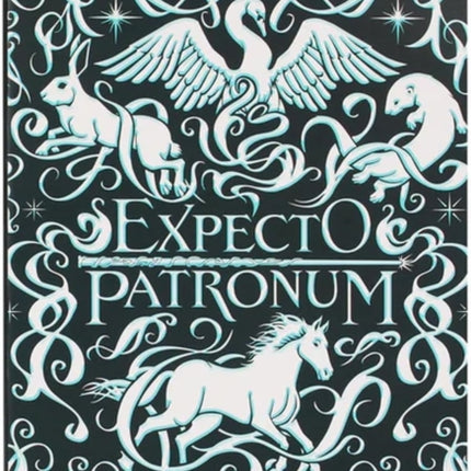 A5 Notebook Softcover  Harry Potter Expecto
