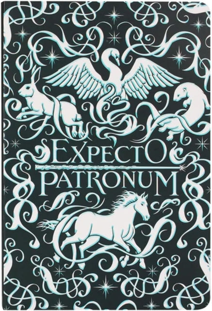 A5 Notebook Softcover  Harry Potter Expecto