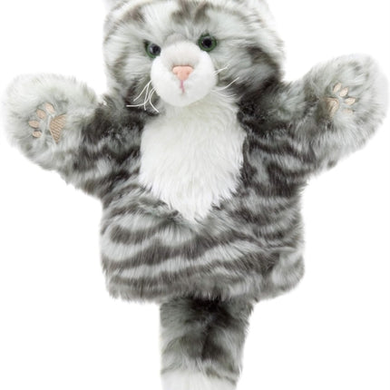Tabby Cat