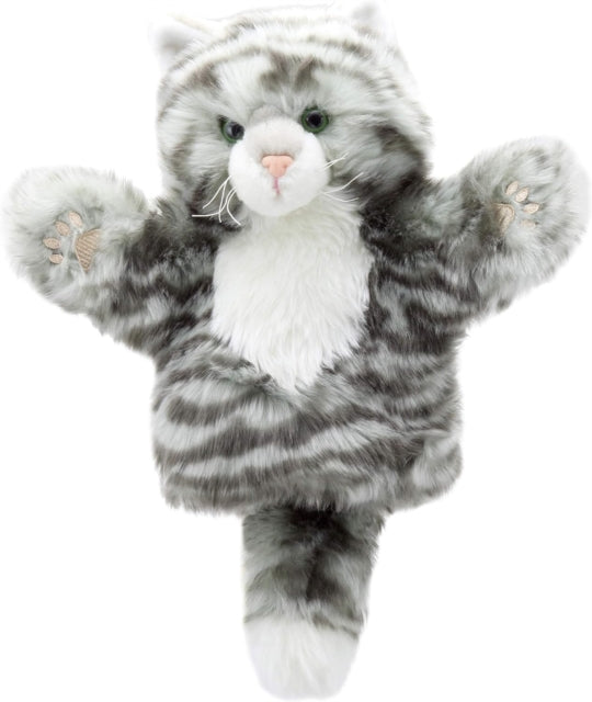 Tabby Cat