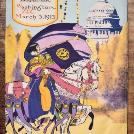 WASHINGTON DC SUFFRAGE TEA TOWEL