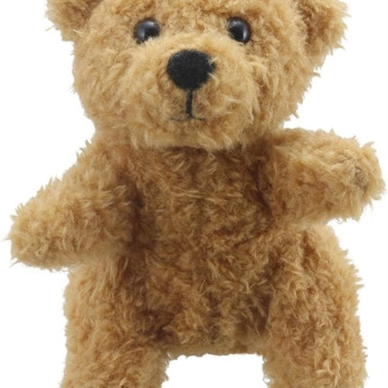 Teddy Bear Soft Toy