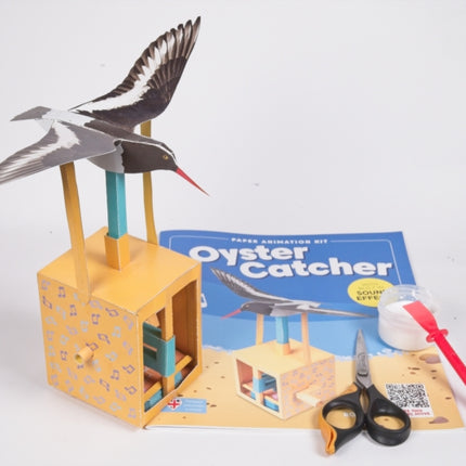 Oyster Catcher Rob Ives Paper Animation Kit