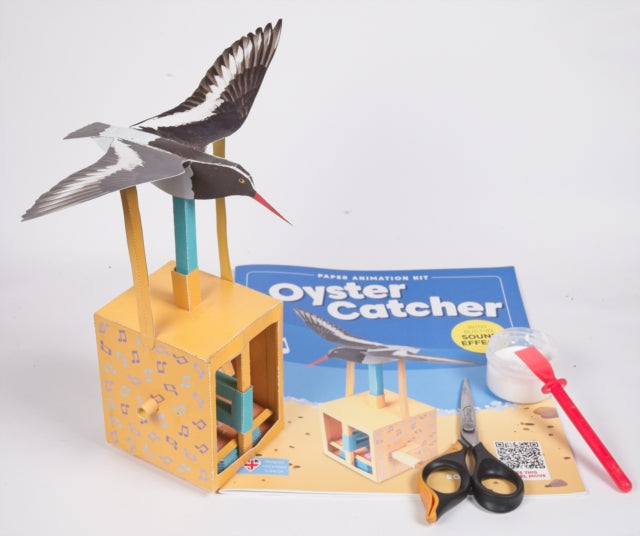 Oyster Catcher Rob Ives Paper Animation Kit