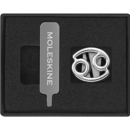 Moleskine Pins Cancer Silver