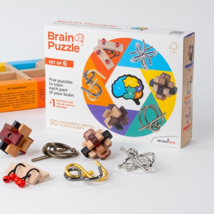 Brain Puzzle  set of 6