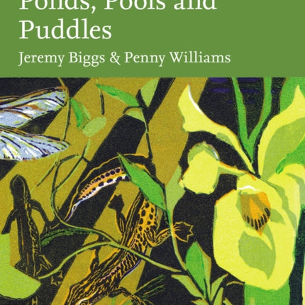 Ponds Pools and Puddles