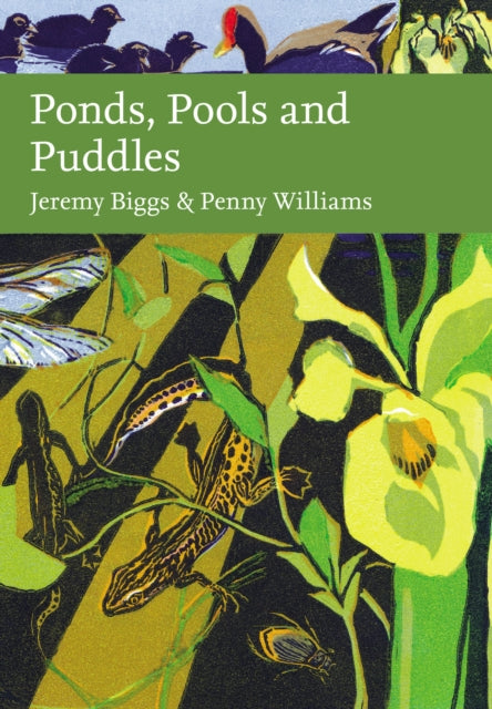 Ponds Pools and Puddles