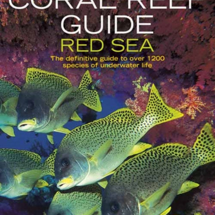 Coral Reef Guide Red Sea