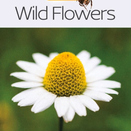 Wild Flowers (Collins Gem)