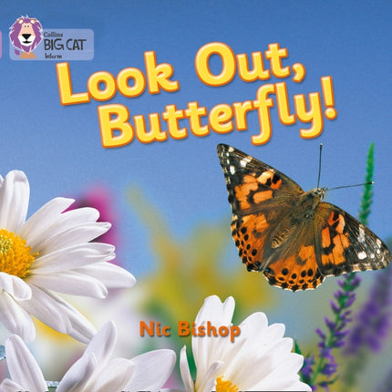 Look Out Butterfly!: Band 00/Lilac (Collins Big Cat)