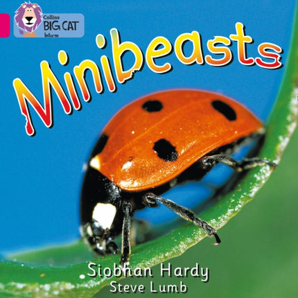 Minibeasts: Band 01A/Pink A (Collins Big Cat)