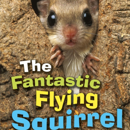 The Fantastic Flying Squirrel: Band 04/Blue (Collins Big Cat)