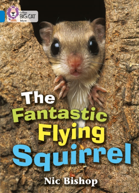 The Fantastic Flying Squirrel: Band 04/Blue (Collins Big Cat)