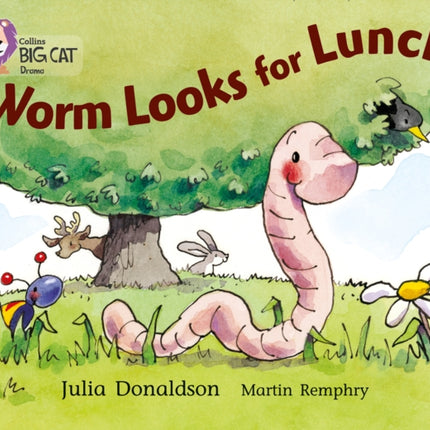 Worm Looks for Lunch: Band 05/Green (Collins Big Cat)