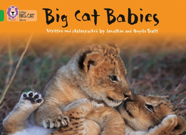 Big Cat Babies: Band 05/Green (Collins Big Cat)