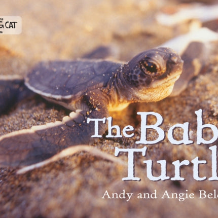 The Baby Turtle: Band 03/Yellow (Collins Big Cat)