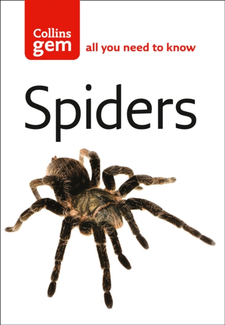 Spiders (Collins Gem)