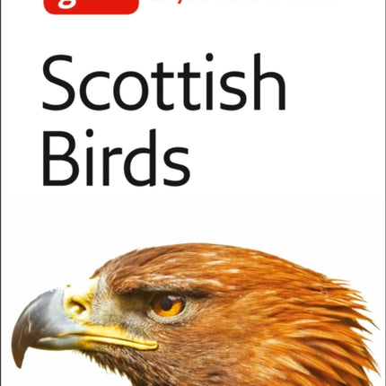 Scottish Birds