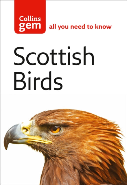 Scottish Birds (Collins Gem)