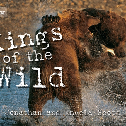 Kings of the Wild: Band 13/Topaz (Collins Big Cat)