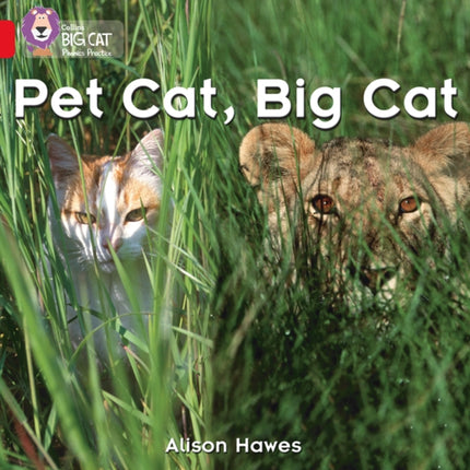 Pet Cat, Big Cat: Band 02A/Red A (Collins Big Cat Phonics)