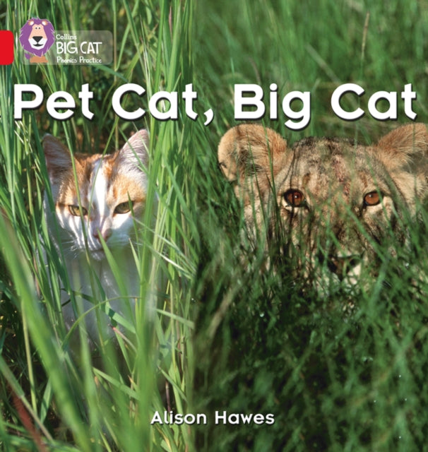 Pet Cat, Big Cat: Band 02A/Red A (Collins Big Cat Phonics)