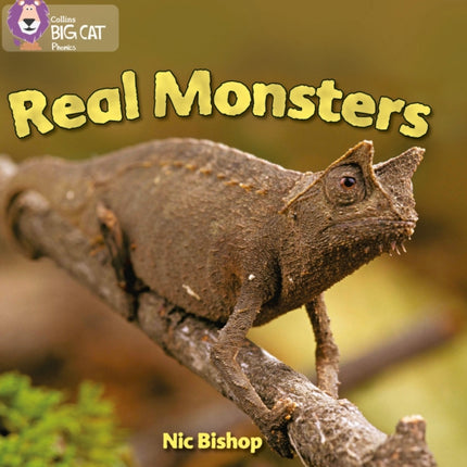 Real Monsters: Band 03/Yellow (Collins Big Cat Phonics)