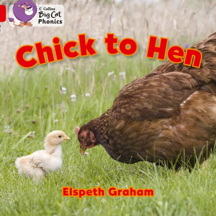 Chick to Hen: Band 02A/Red A (Collins Big Cat Phonics)