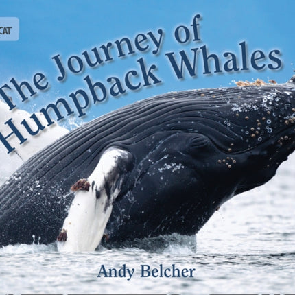 The Journey of Humpback Whales: Band 07/Turquoise (Collins Big Cat)