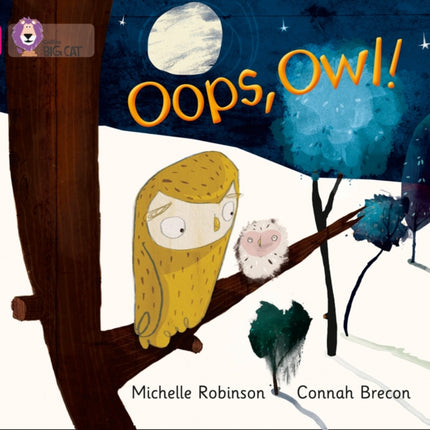 Oops, Owl!: Band 01A/Pink A (Collins Big Cat)