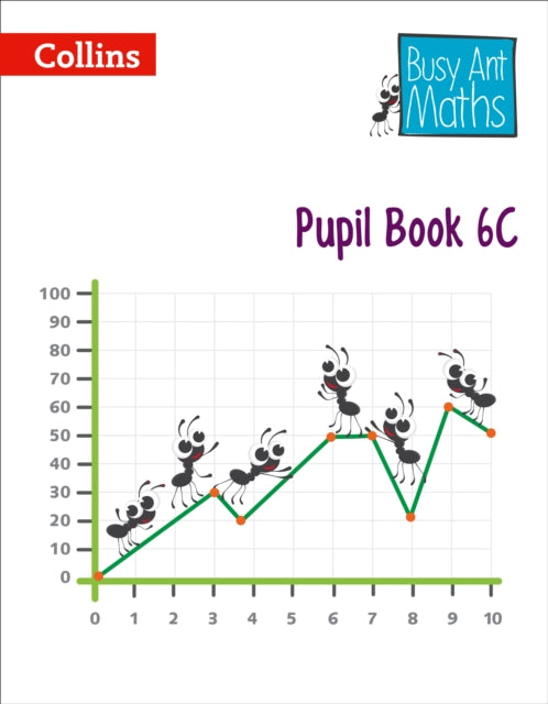 Pupil Book 6C (Busy Ant Maths)